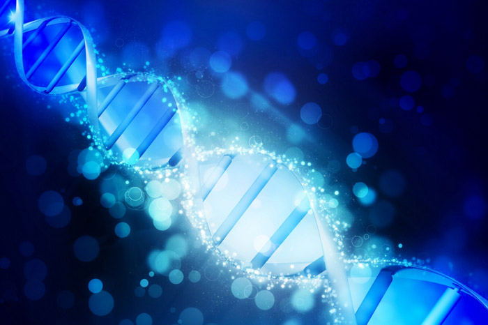 事業(yè)因人才而興，人才因事業(yè)而聚